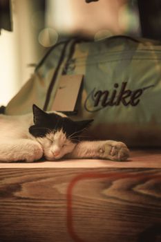 A peaceful scene of a cat sleeping next to a Nike bag indoors.