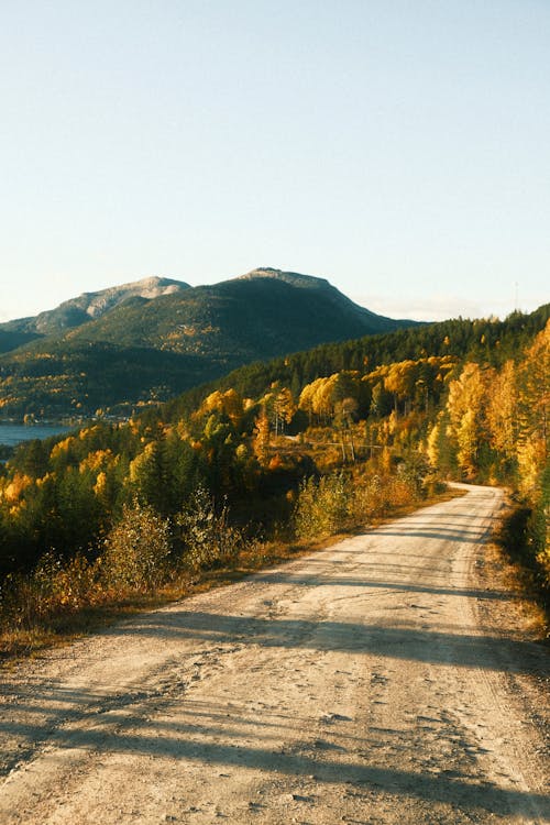 Ilmainen kuvapankkikuva tunnisteilla maisema, mäki, metsä