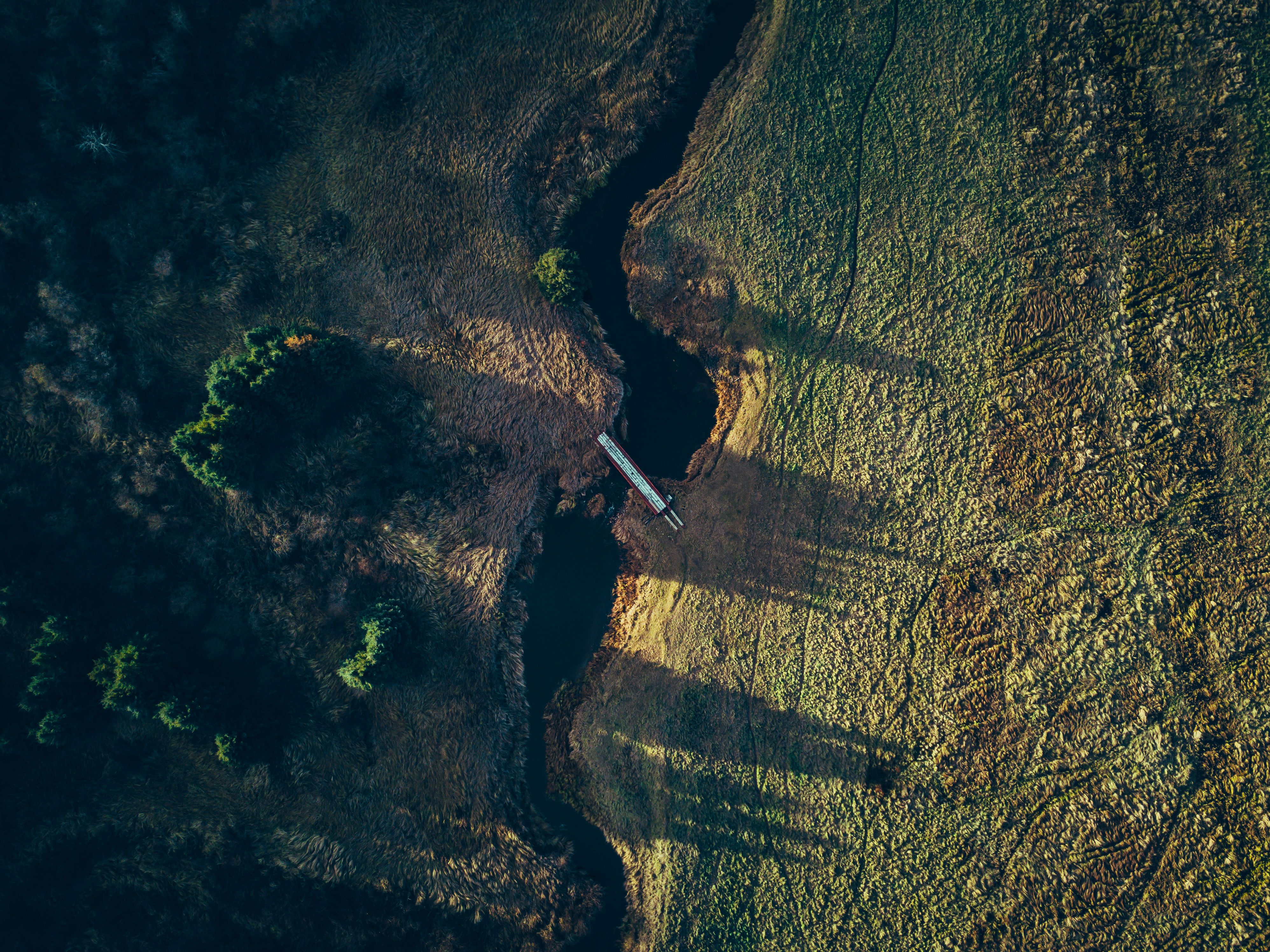 River in Countryside · Free Stock Photo