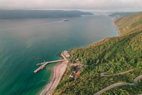 Бесплатное стоковое фото с берег, высокий угол обзора, деревья