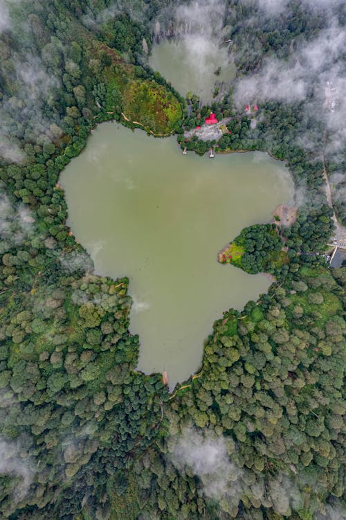 Top View of a Lake Surrounded by Trees 