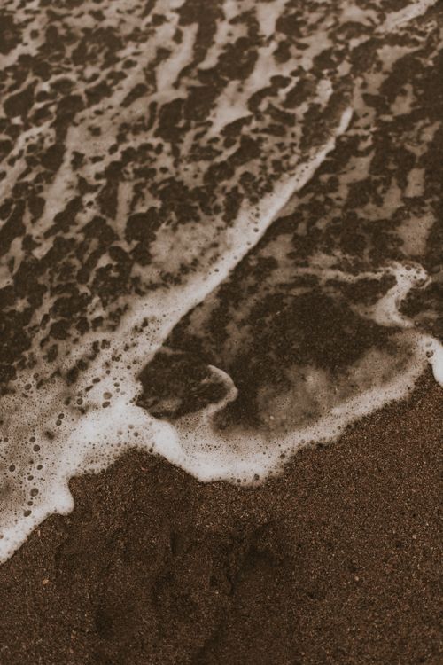 Free Detailed photo capturing sea foam and wet sand on a beach, emphasizing texture. Stock Photo