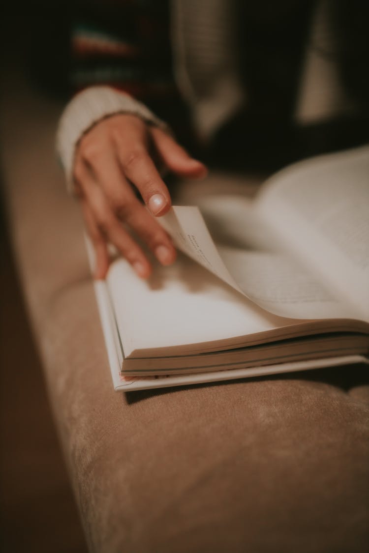 Woman Reading A Book