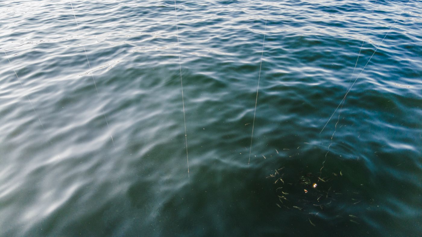 Salmon River Tactics Beyond the Basic Drift