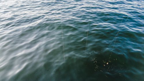 Free Fishing lines hang over the sea as a school of fish swims near the bait. Stock Photo