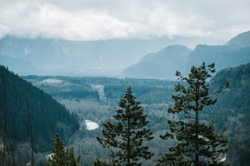 Free stock photo of canada, green trees, mountains