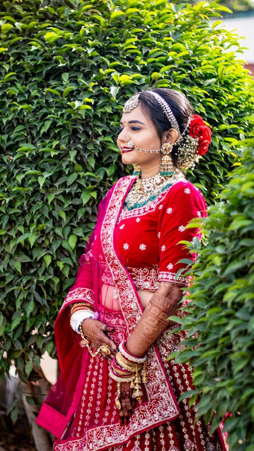 Immagine gratuita di celebrazione, donna, donna indiana