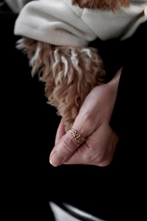Close-up of Woman Holding a Paw of Her Dog 