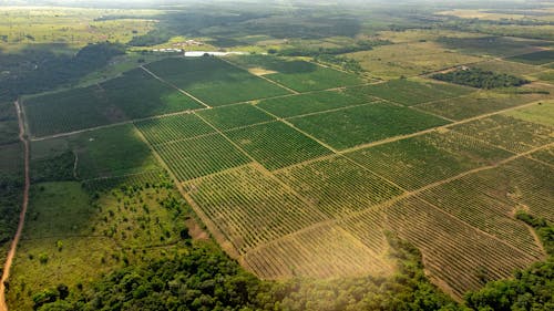 Fields in Countryside in Birds Eye View