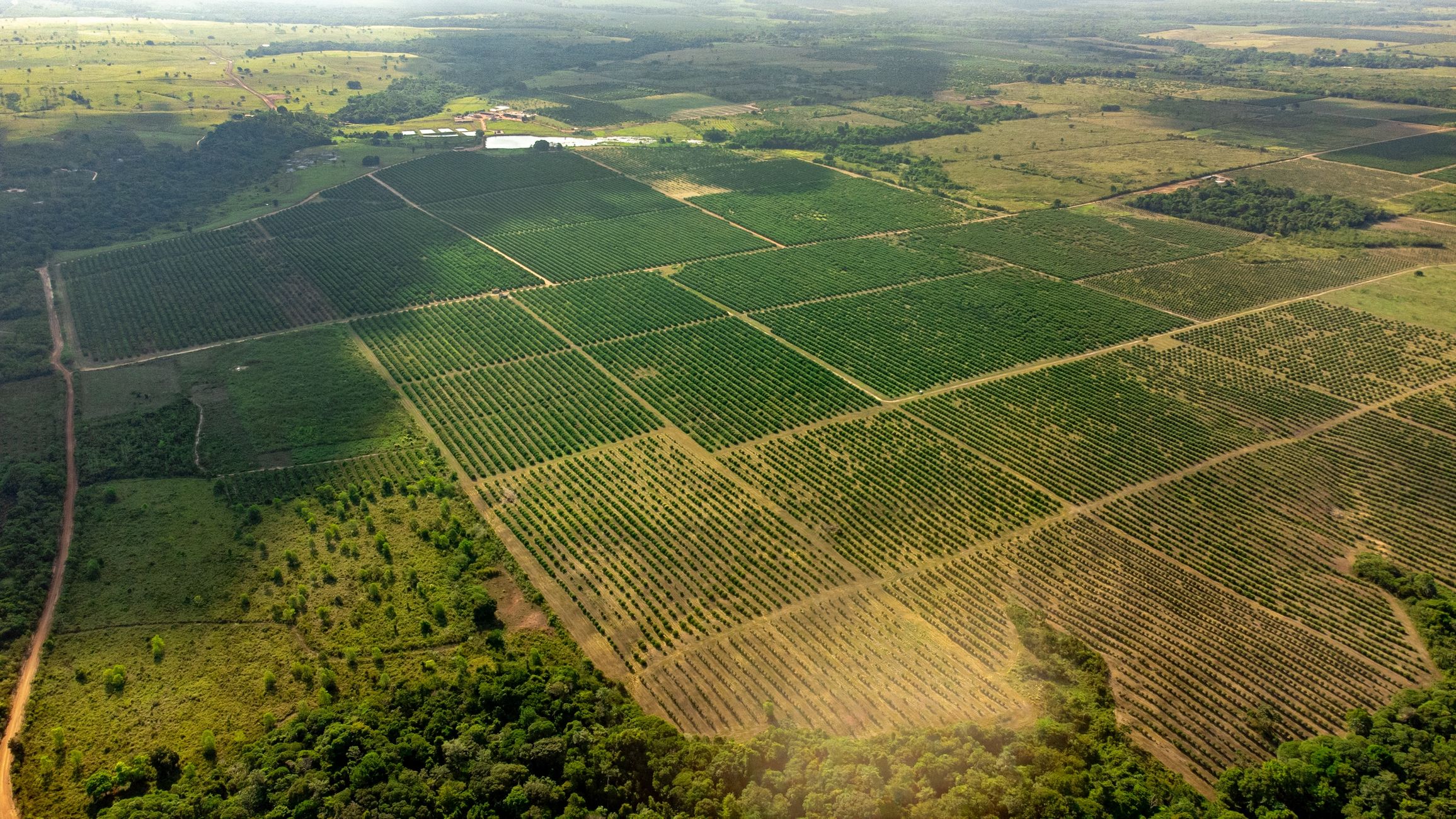 Aerial drone shot of lush agricultural fields in rural PA, Brazil.