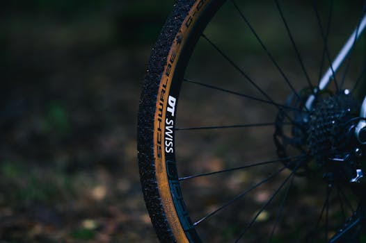 Detailed shot of a bicycle wheel in a natural outdoor environment.