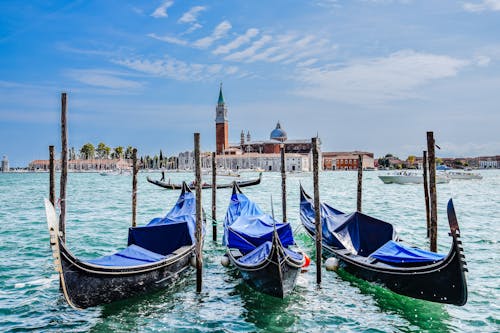 Gondolas in Venice Harbor