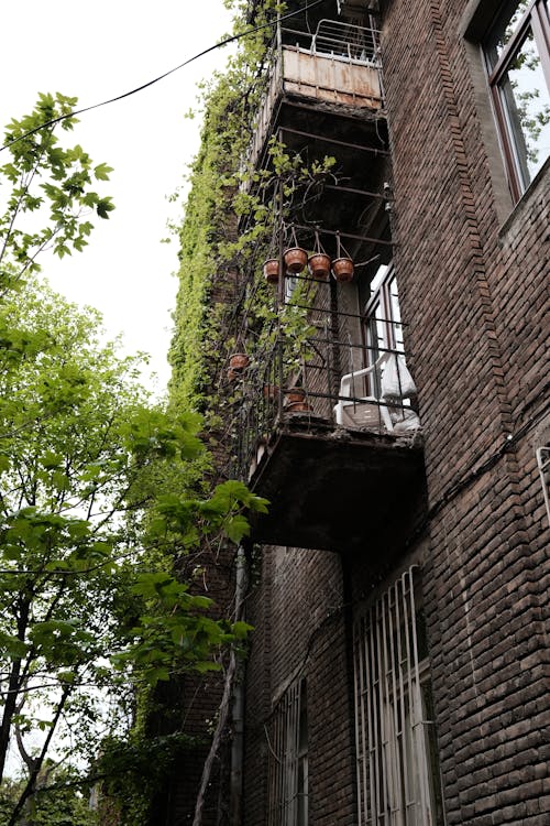 Kostenloses Stock Foto zu aufnahme von unten, balkone, baum