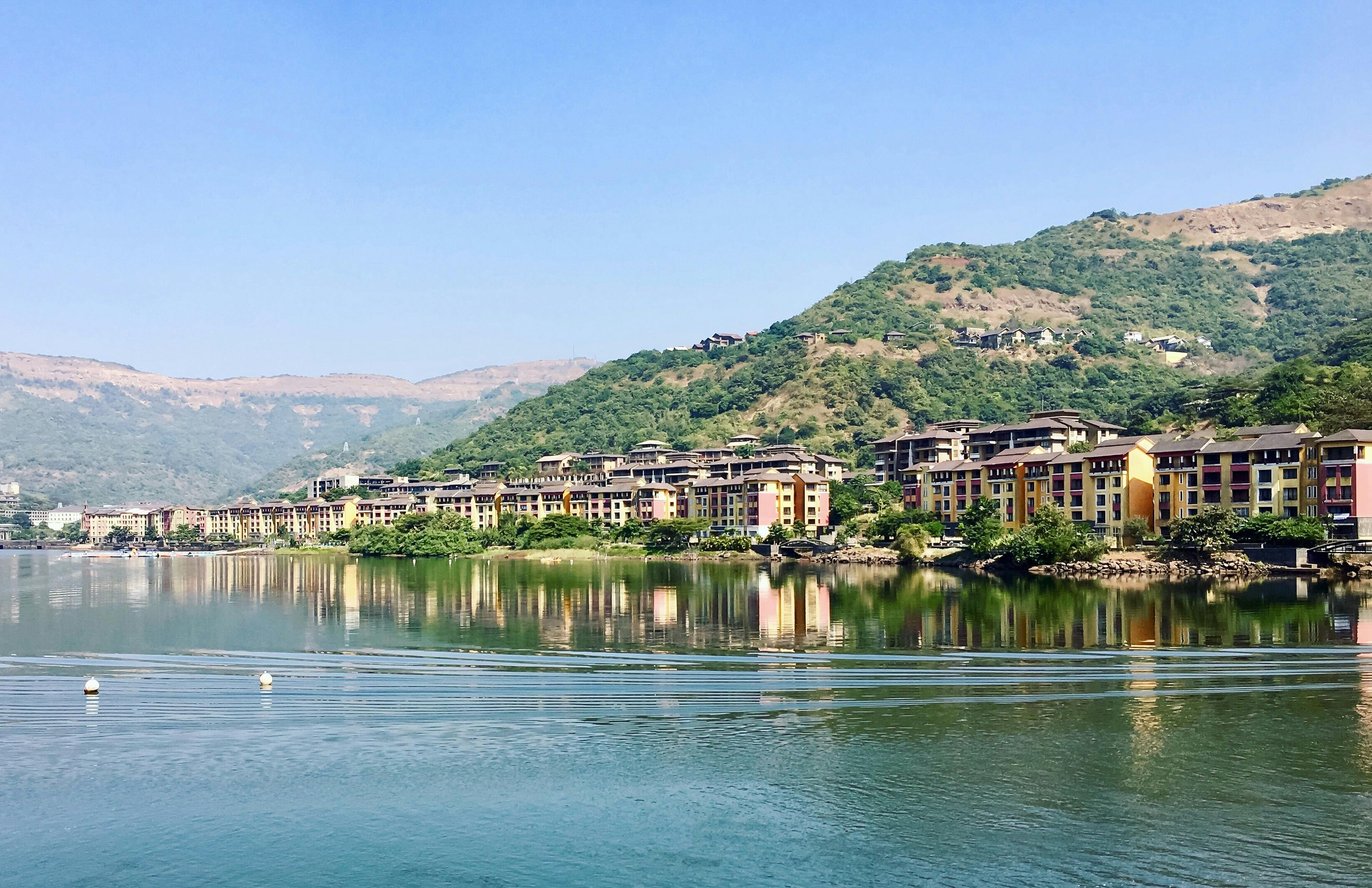 Plastic Garden Tool Organizer