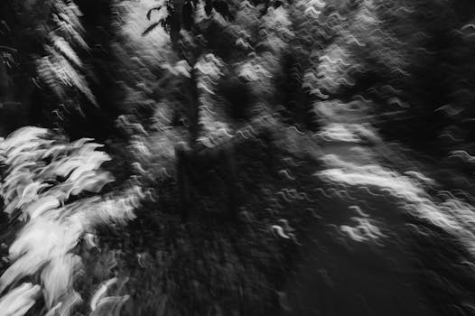 Creative abstract forest scene in black and white with motion blur capturing a dreamlike atmosphere.