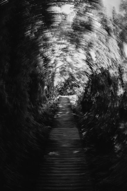 A dizzying abstract black and white image of a tunnel with blurred motion effect, creating a dynamic visual.
