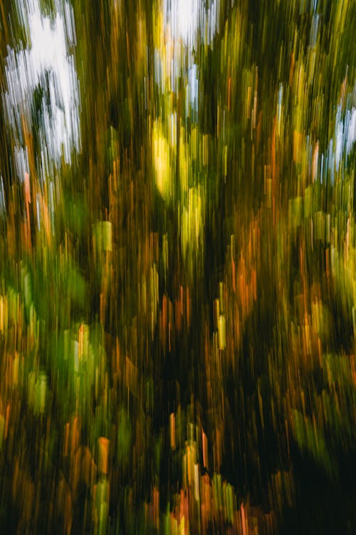 Foto d'estoc gratuïta de abstracte, colors naturals, desenfocament de moviment