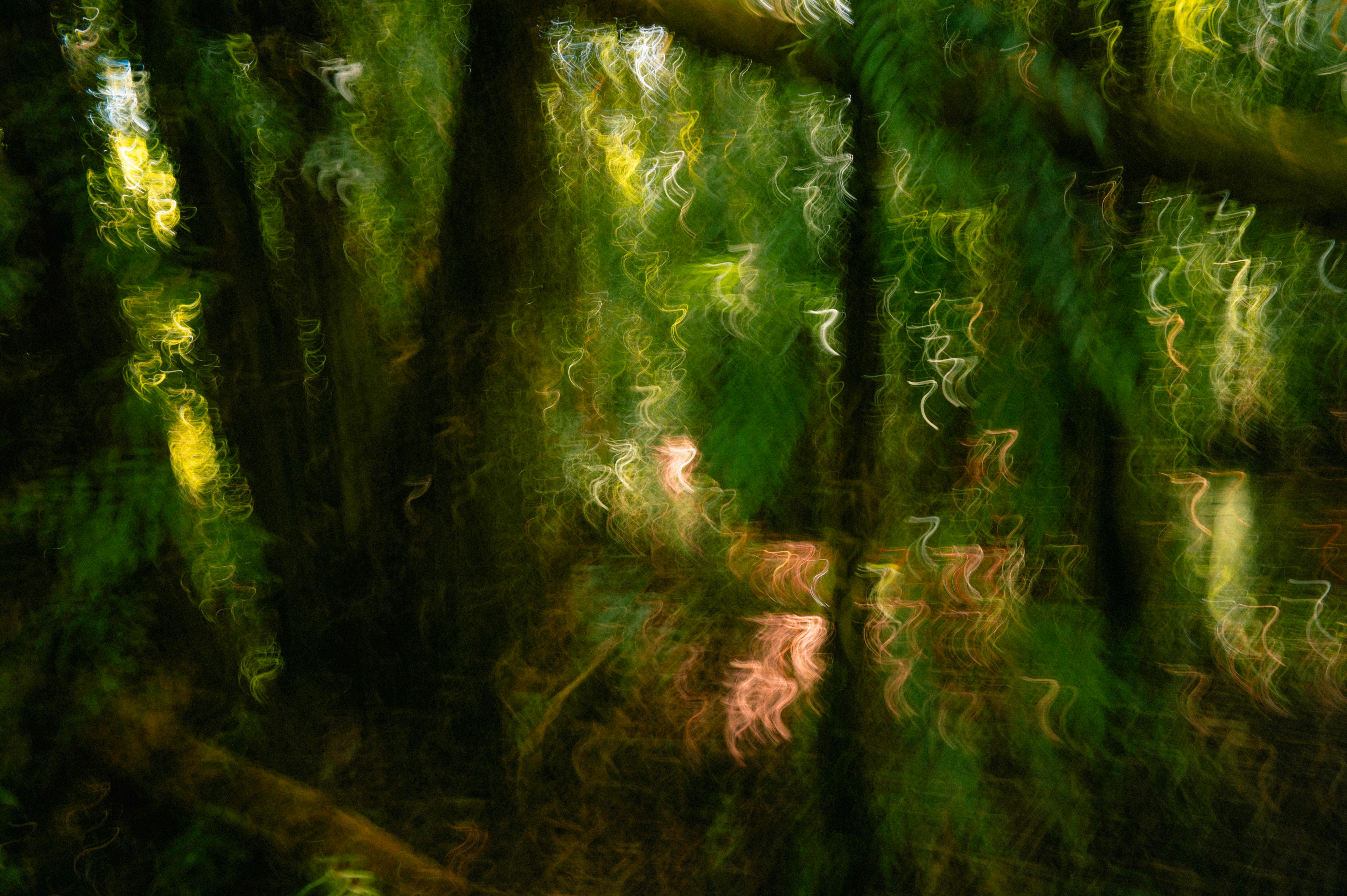 生活：以色列人質揭露囚禁黑暗真相：孤立無光的生存掙扎