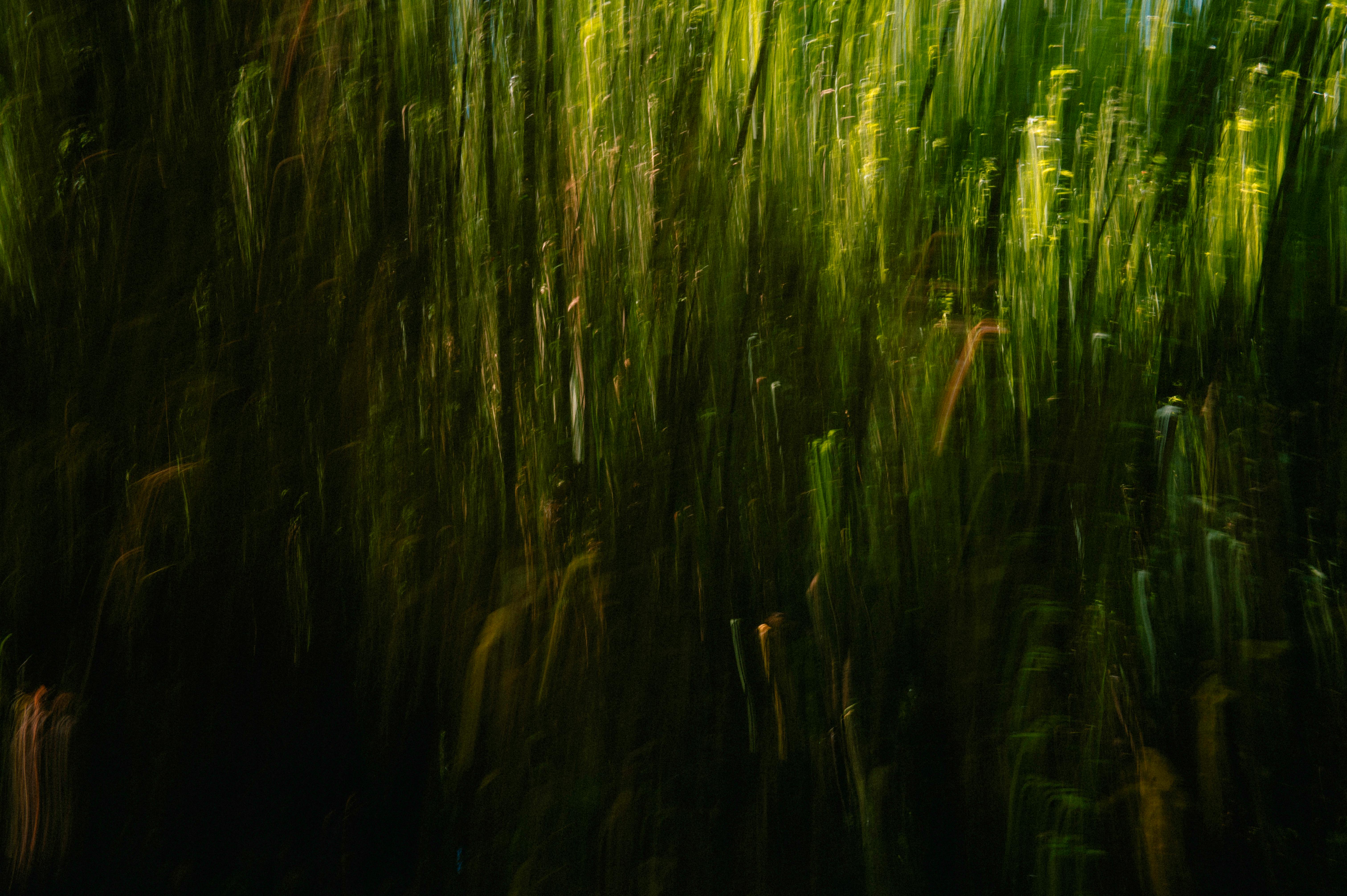 Blockchain and Green Energy: Powering a Sustainable Future