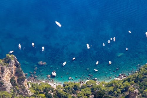Birds Eye View of Motorboats on Sea Shore