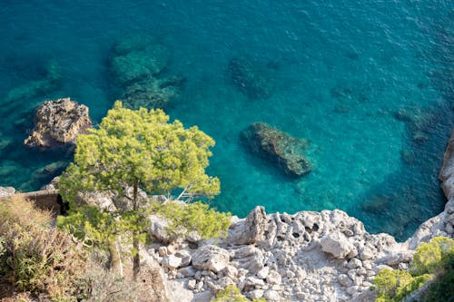 Free High Angle View of Sea and a Rocky Coast  Stock Photo