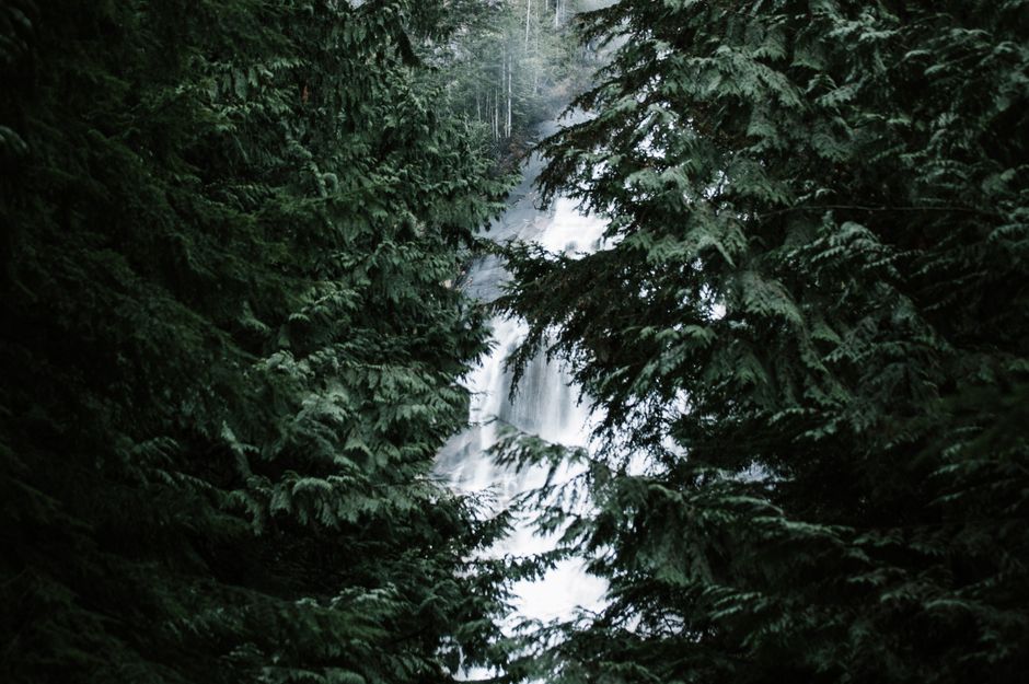 waterfall forest