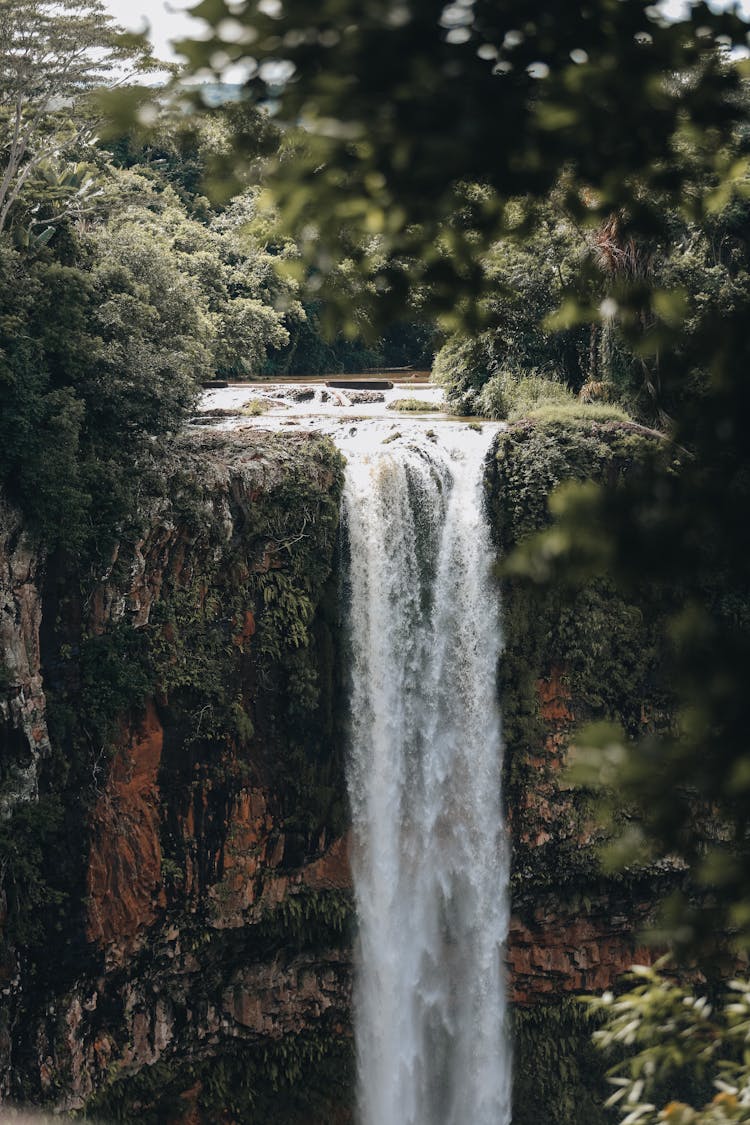 Waterfall In Forest