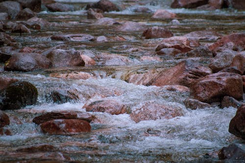 Free stock photo of british columbia, canada, flowing water