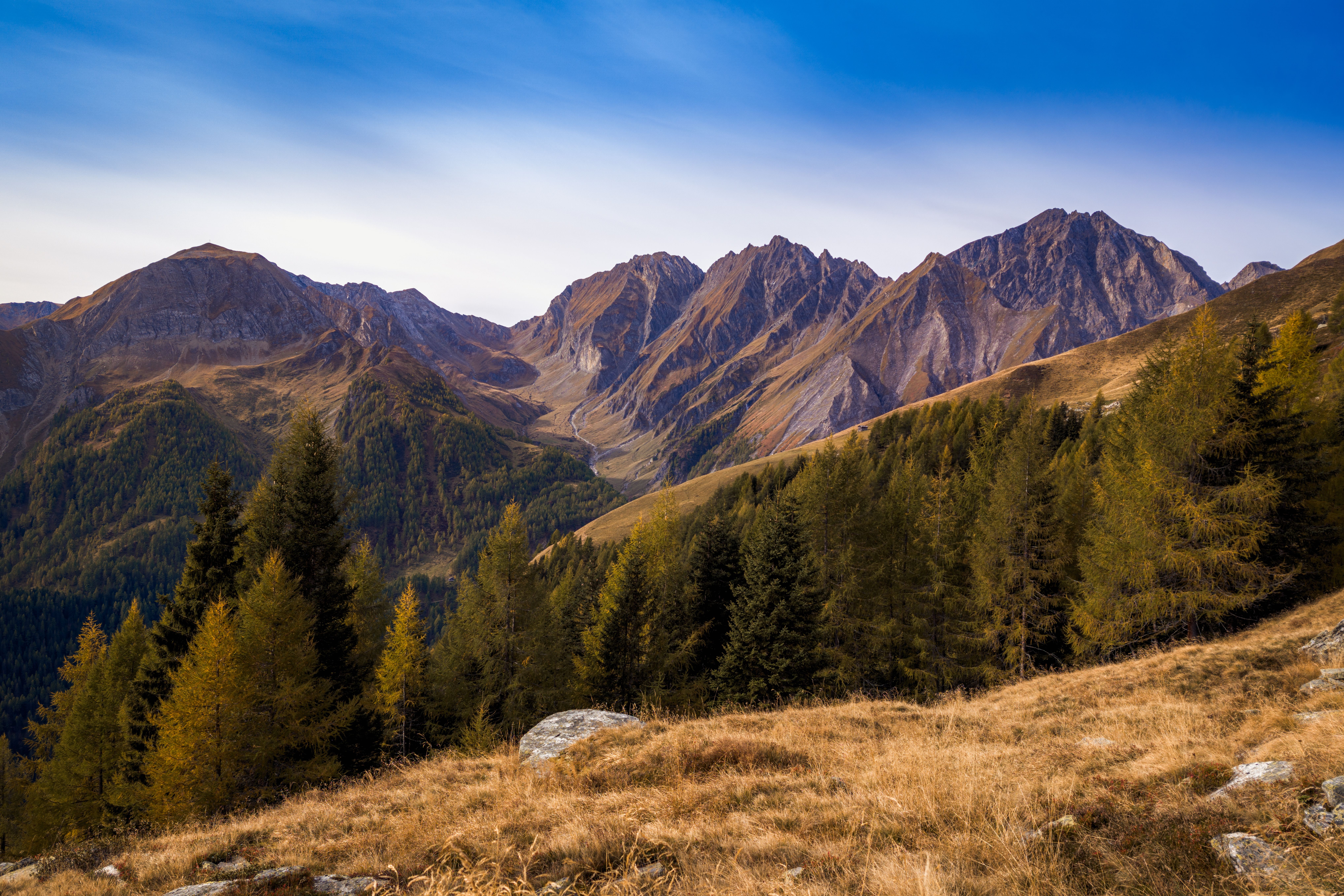 The high country at first light