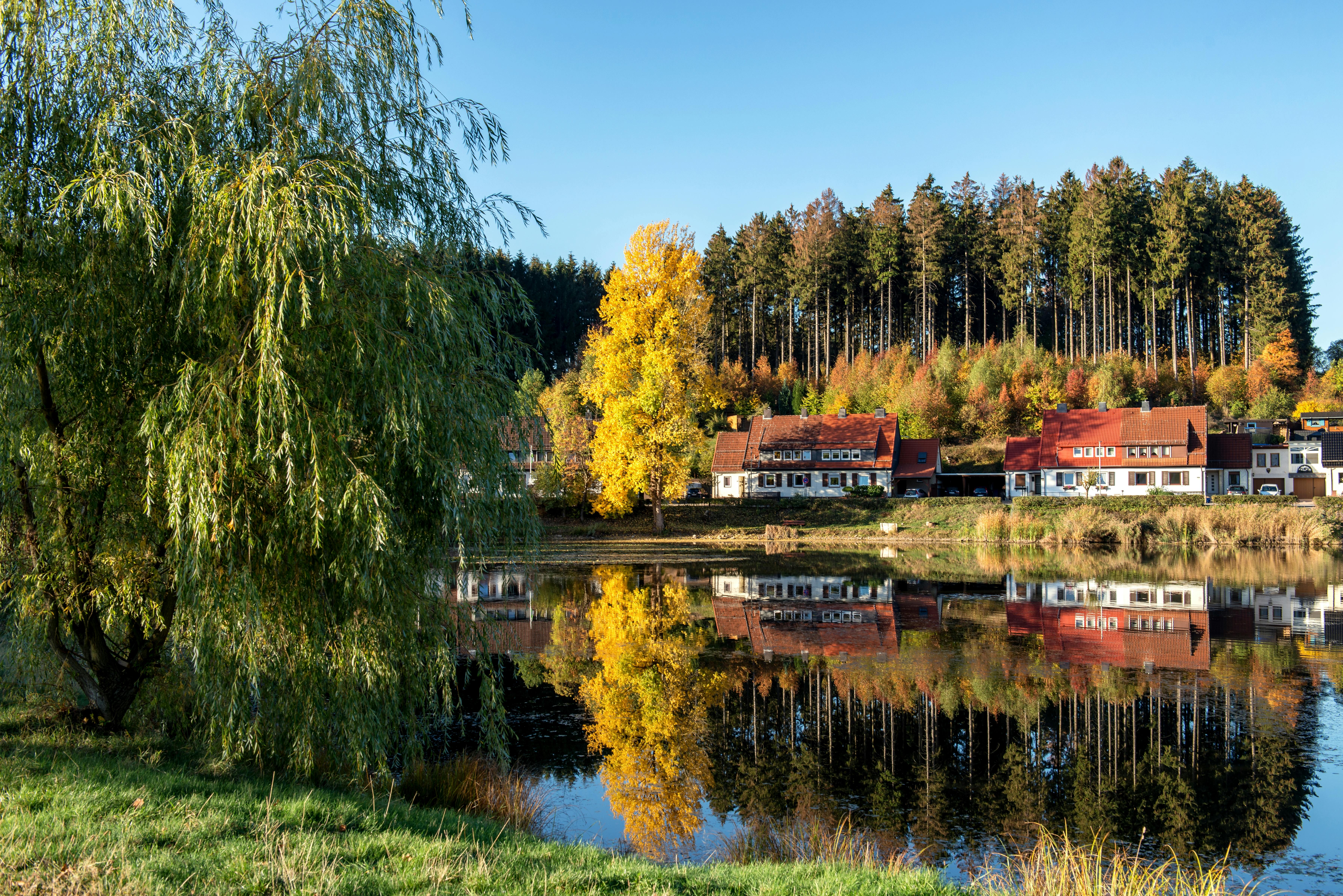 Photos gratuites de @extérieur, allemagne, arbres