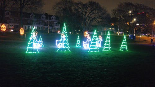 Free stock photo of christmas lights, christmas trees Stock Photo