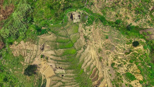 aerial view of plantation land on the outskirts of town