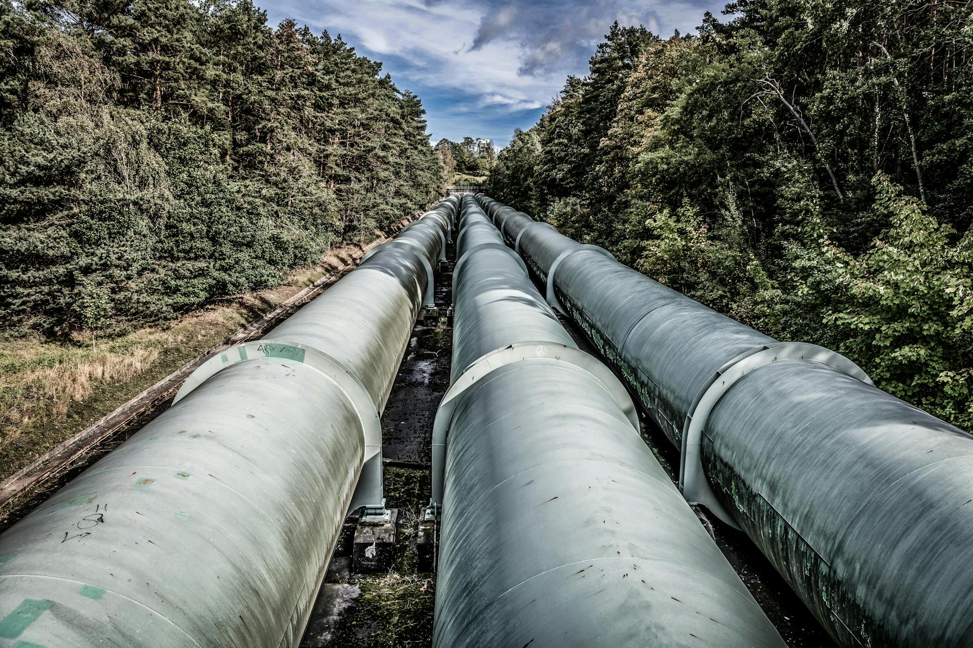 View of large industrial pipelines running through a lush forest landscape.