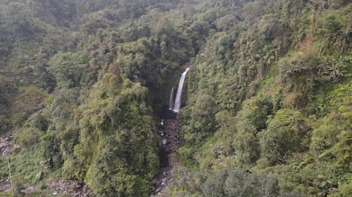 The aerial scenic drone imagery of the hidden waterfall the dense forest