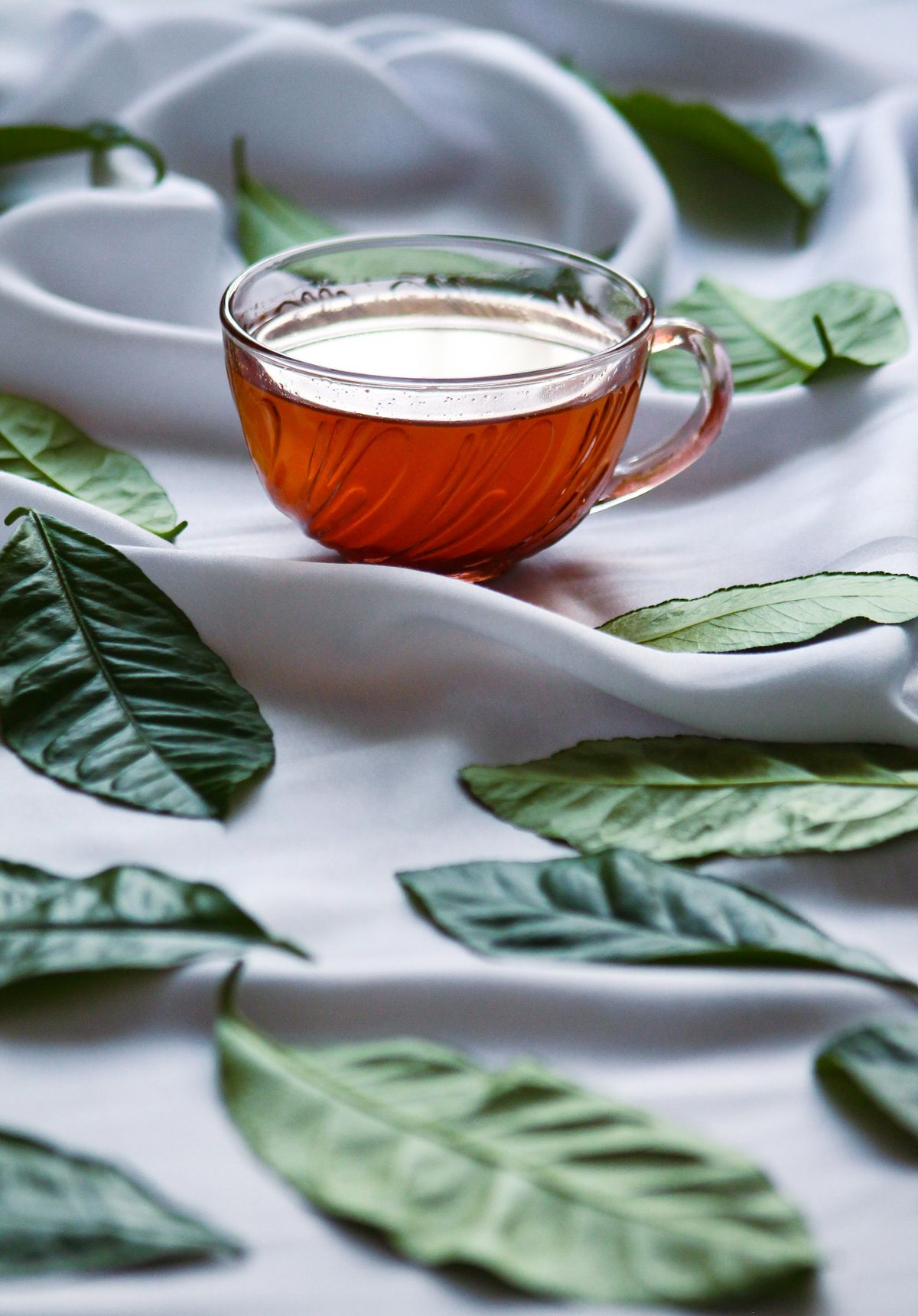 Fresh green tea leaves and cup
