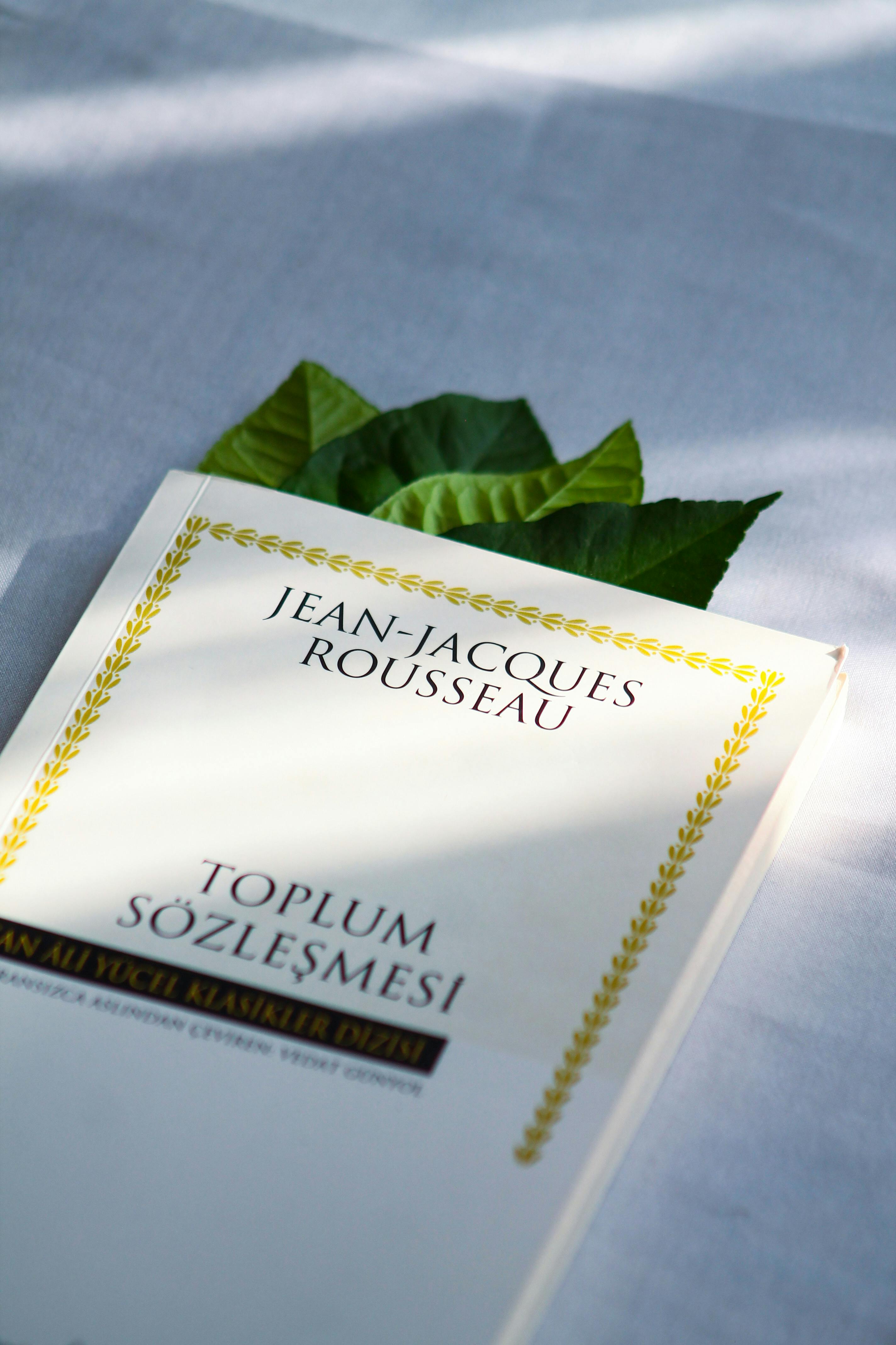 Jean-Jacques Rousseau's book with leaves on a sunlit surface, evoking a serene, natural ambiance.