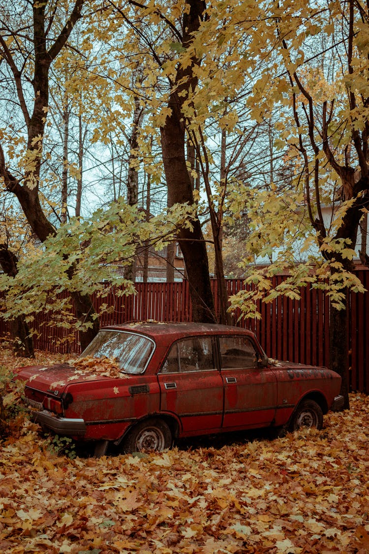 Red Car In A Forest In Fall