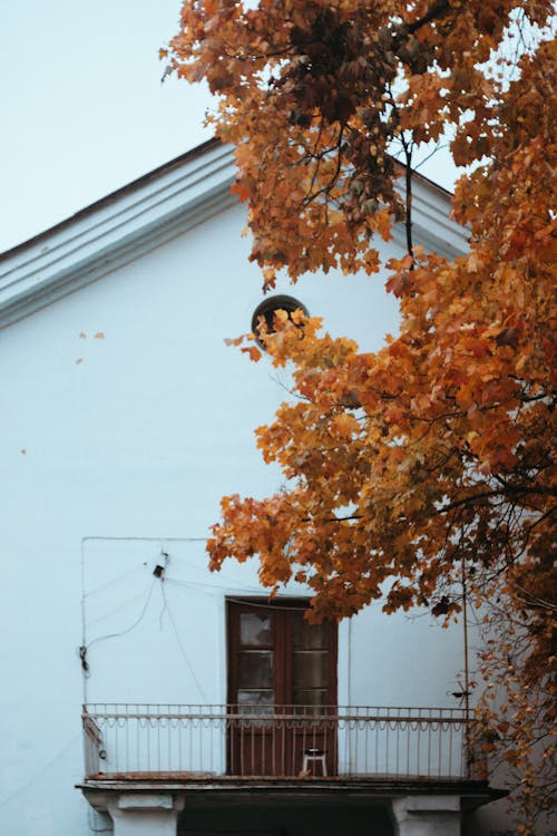 Gratis lagerfoto af bygning, efterår, facade