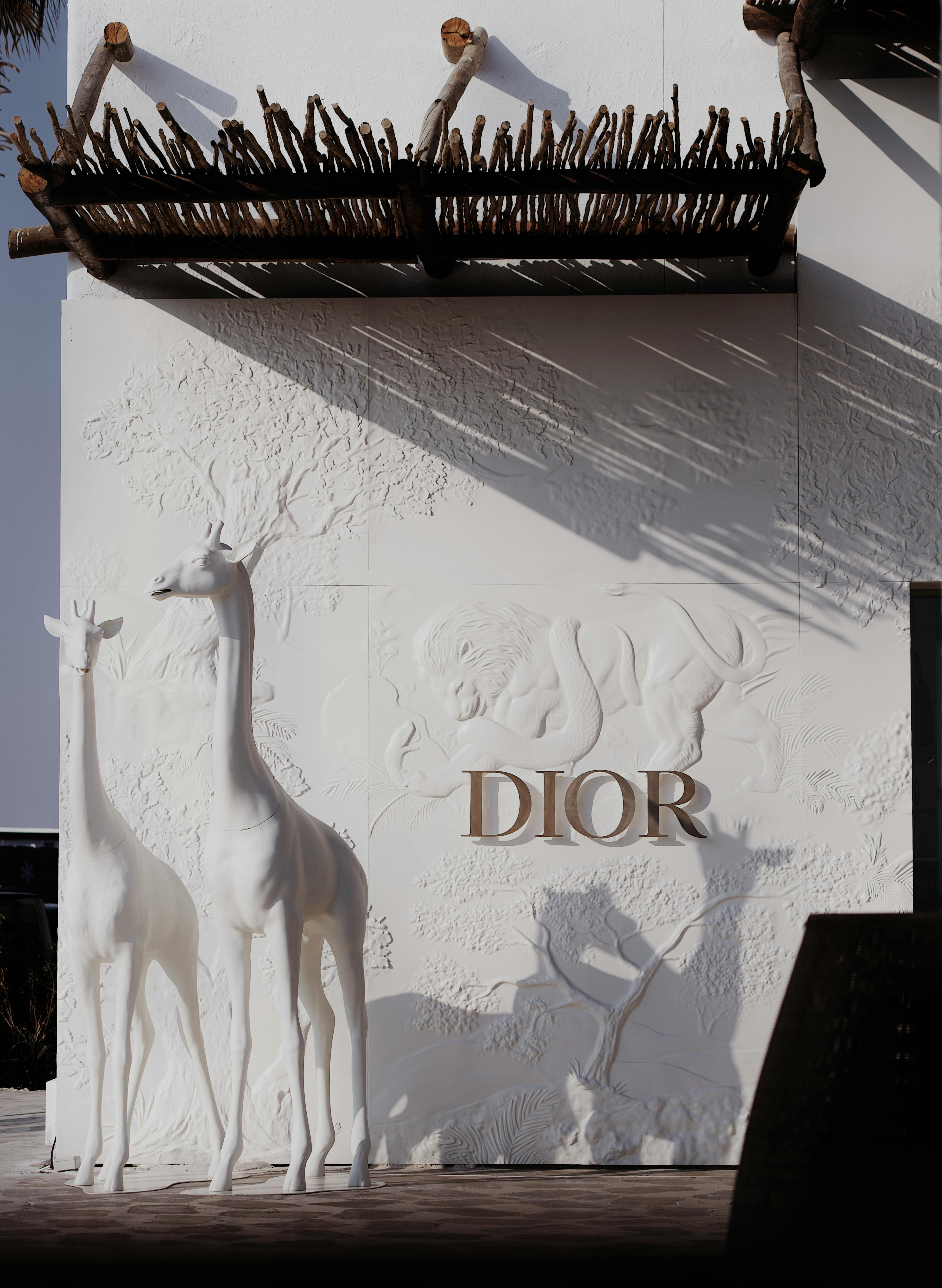 30k+ Dior Pictures  Download Free Images on Unsplash