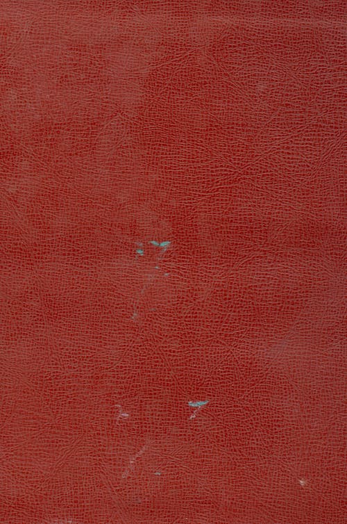 Close-up of an Old, Worn Red Leather Surface