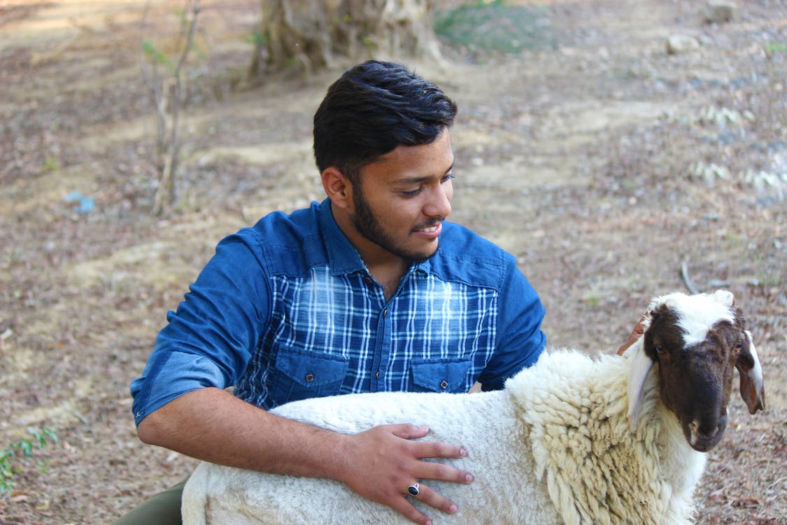 羊を持つ少年 青いシャツの男の子の無料の写真素材