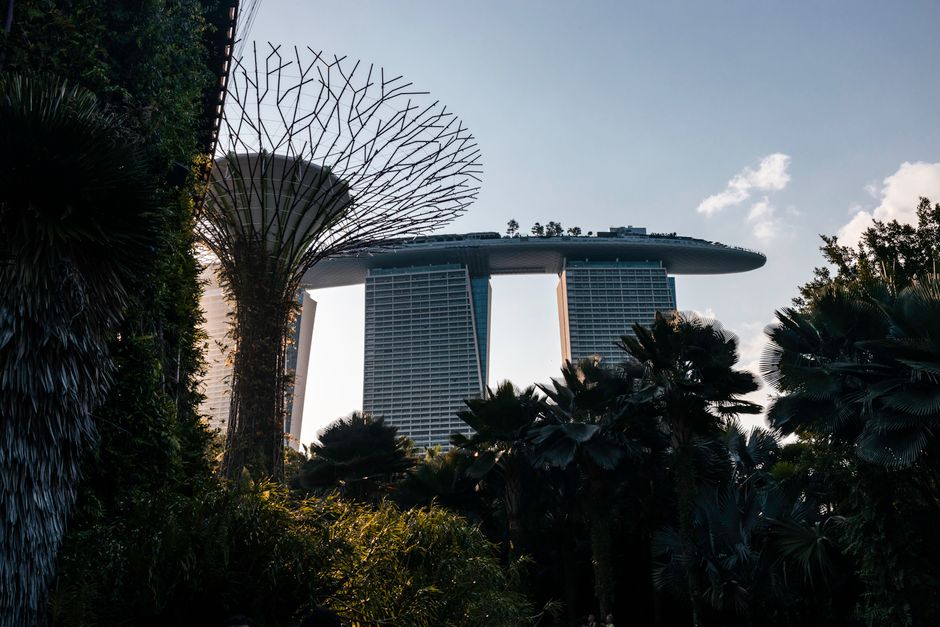 Urban skyline featuring Marina Bay Sands and Supertree Grove in Singapore's modern landscape.