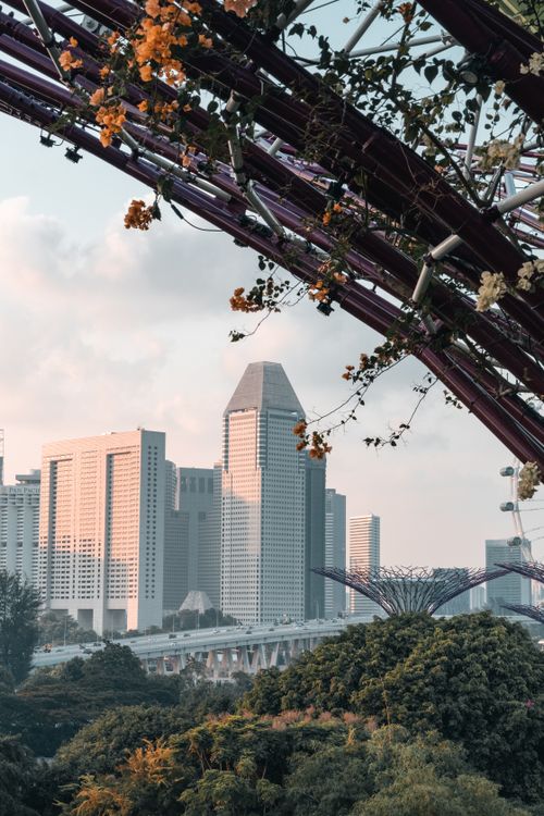 Free View of Singapore's skyline with iconic architecture framed by lush garden greenery at dusk. Stock Photo