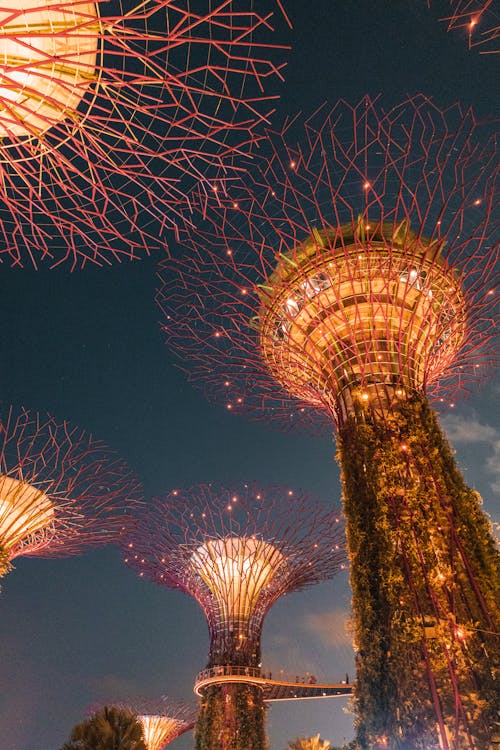 Low Angle Shot of Illuminated Supertree Grove in Singapore