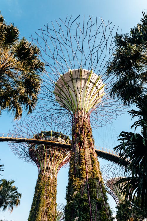 Tropical Garden in Singapore