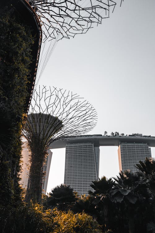 Tropical Garden in Singapore 