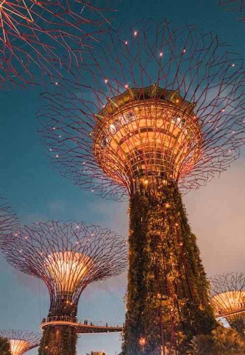 Illuminated Tropical Garden in Singapore 