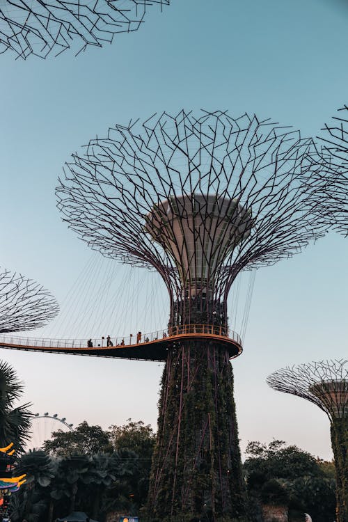 Tropical Garden in Singapore