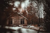 白雪皑皑的树木环绕着宁静的小木屋，构成一幅舒适的冬日景致