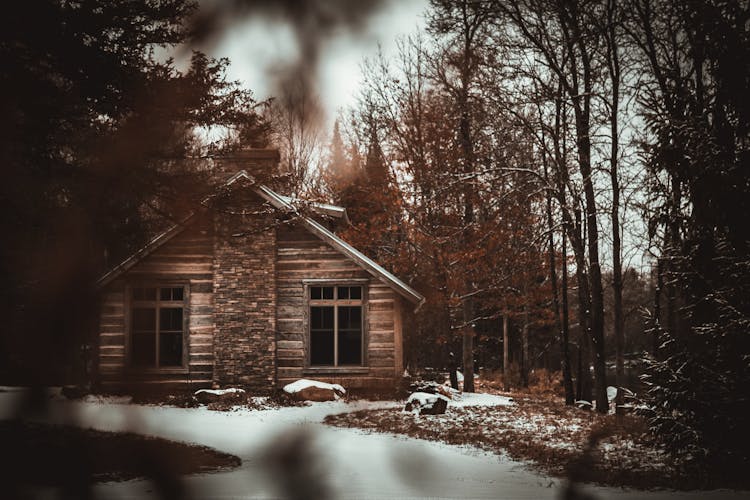 Cabin Near Trees